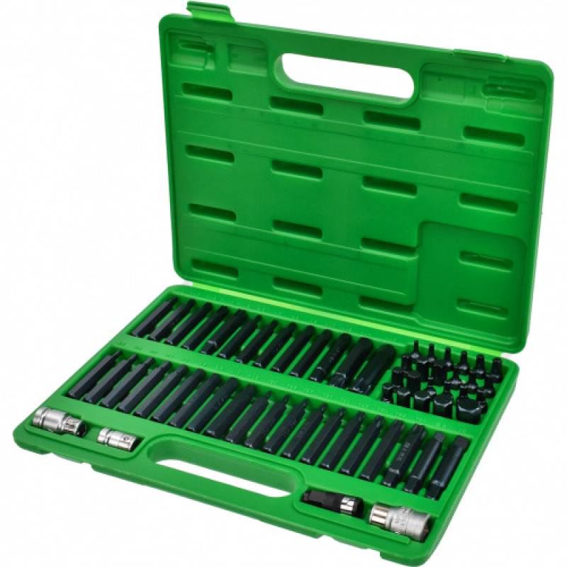 Набор бит TORX, HEX, SPLINE, RIBE, SQ 60ед.  TOPTUL GCAI6003