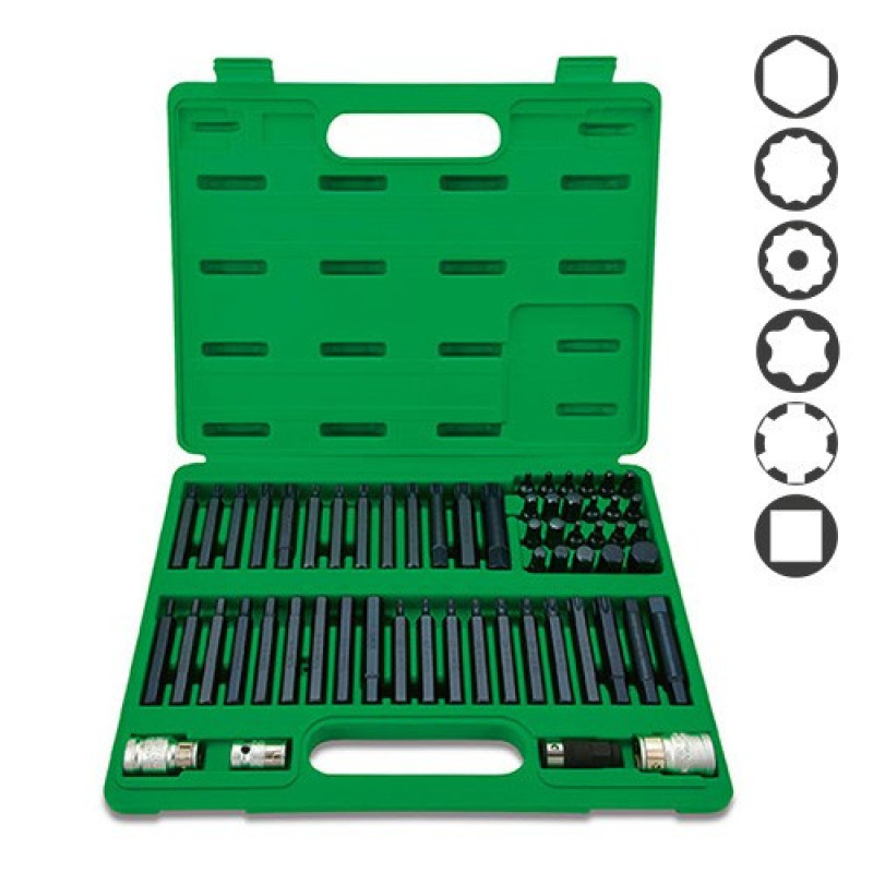 Набор бит TORX, HEX, SPLINE, RIBE, SQ 60ед.  TOPTUL GCAI6003