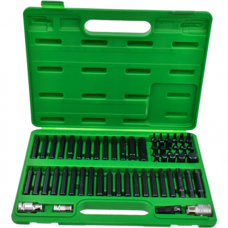 Набор бит TORX, HEX, SPLINE, RIBE, SQ 60ед.  TOPTUL GCAI6003