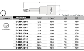 Головка с насадкой RIBE M6x100mm
